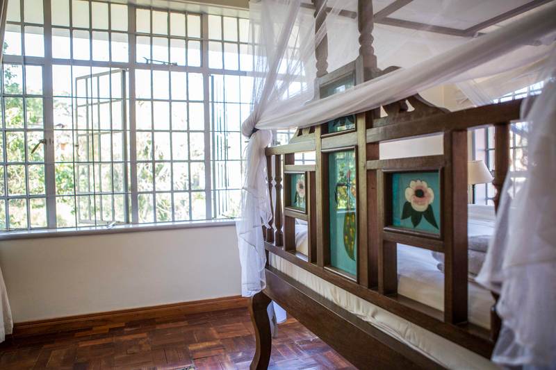 Forest House - Gallery 3